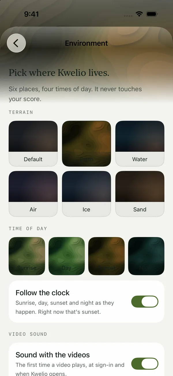 The Environment screen